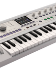 KORG microKorg